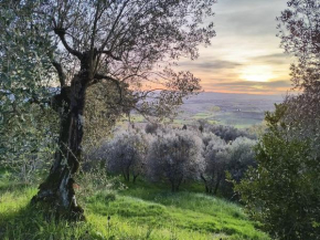 Il Cestino di Ciliege Certaldo